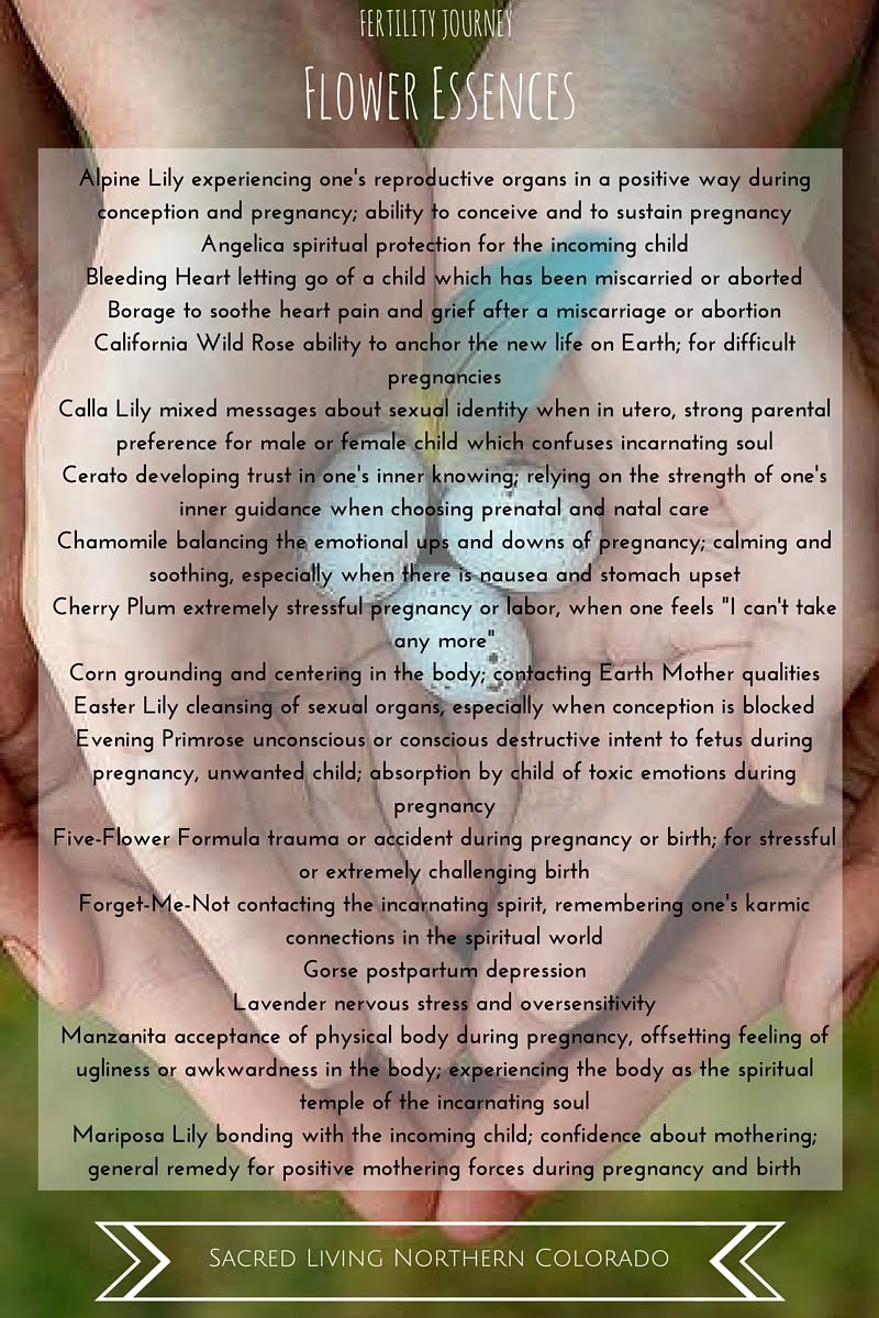 Flower Essences for the Fertility Journey Sarah Josey