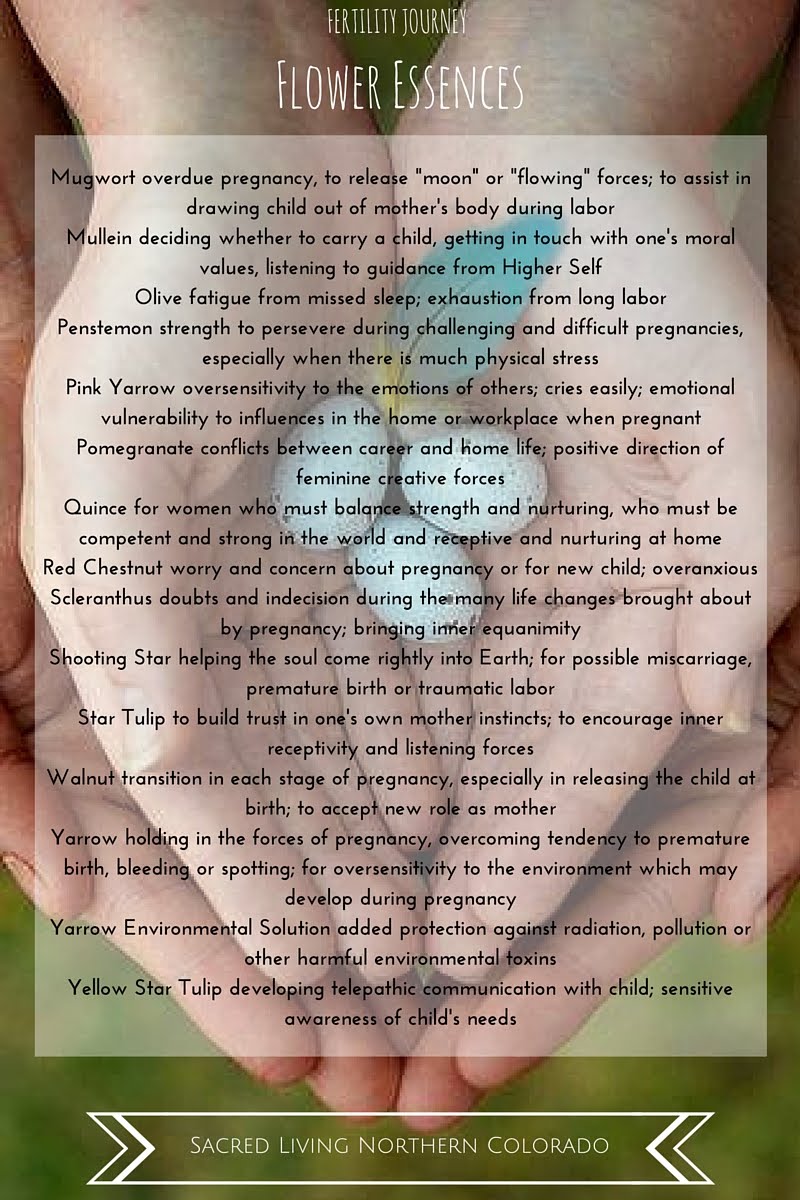 Flower Essences for the Fertility Journey Sarah Josey