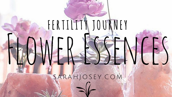 Flower Essences for the Fertility Journey