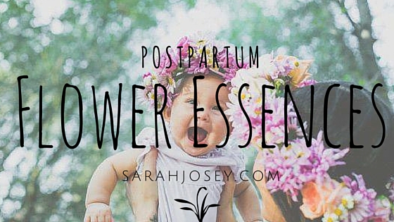 Flower Essences for Postpartum